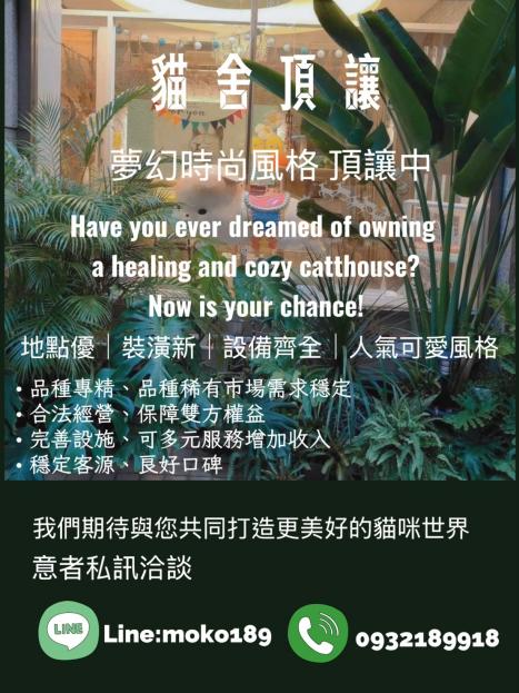yes頂尖!創業頂讓 高獲利貓舍頂讓｜特寵字號齊全｜種貓可分售 金額：250萬 / 元 新北市鶯歌區